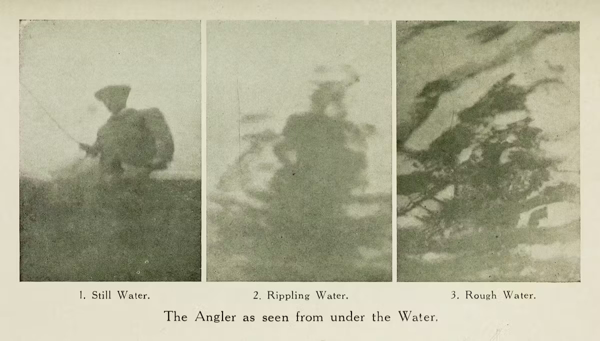Page from book showing 3 black and white photos of fish view of fisherman