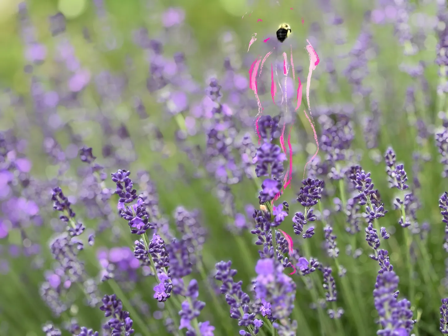 The Time for Yourself is Now