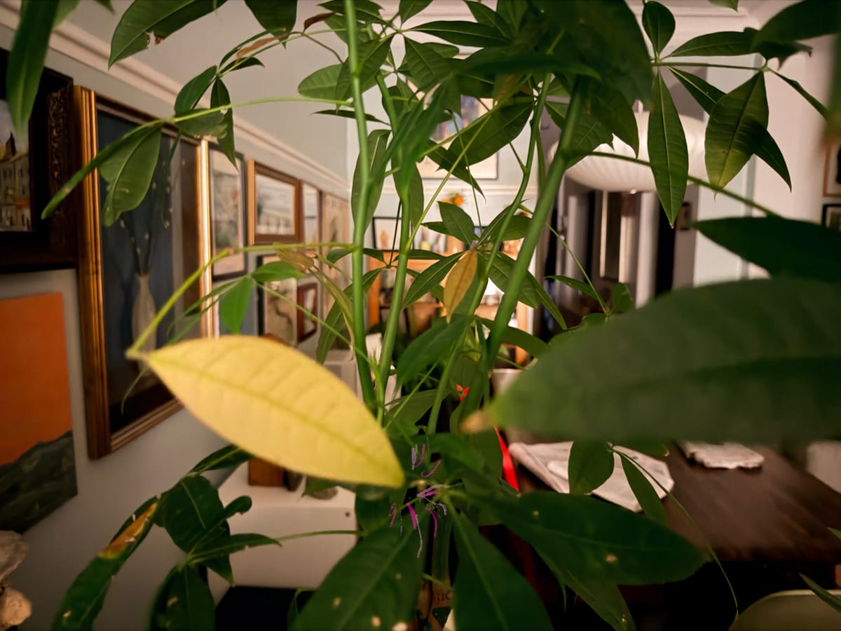 In Praise of Boring (Design)