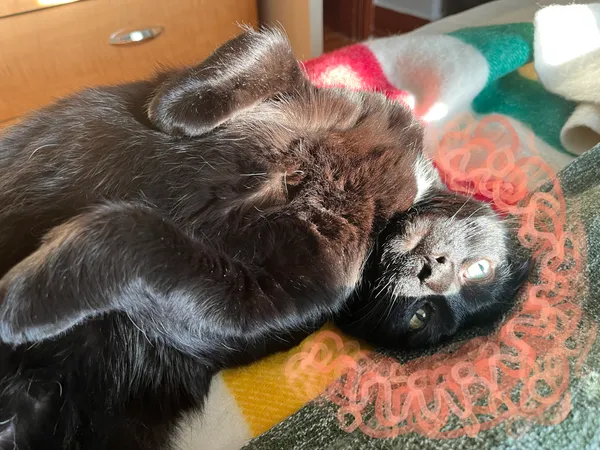 The Race Is the Easy Part