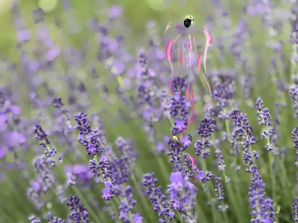 The Time for Yourself is Now